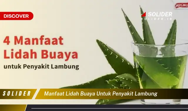 manfaat lidah buaya untuk penyakit lambung