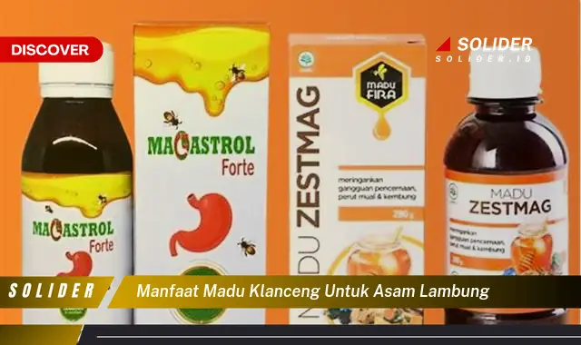 manfaat madu klanceng untuk asam lambung