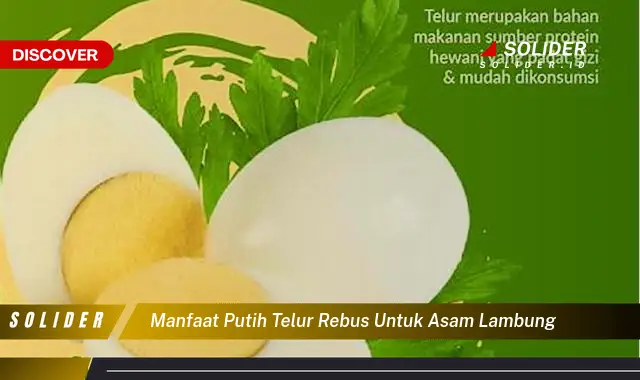 manfaat putih telur rebus untuk asam lambung