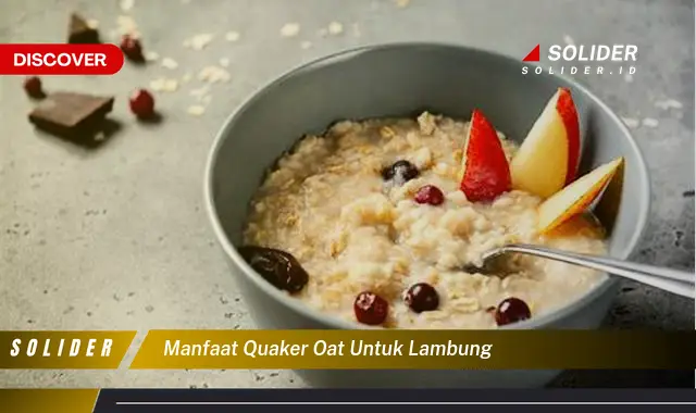 manfaat quaker oat untuk lambung