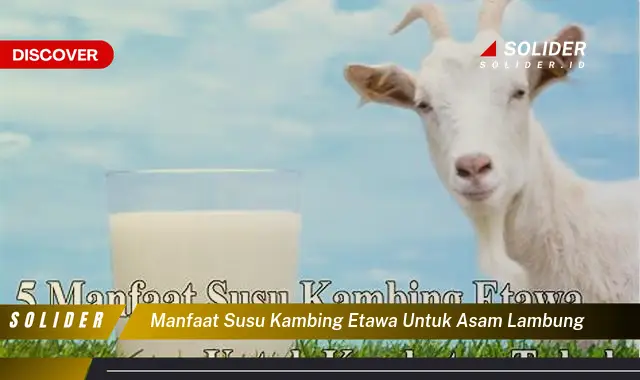 manfaat susu kambing etawa untuk asam lambung