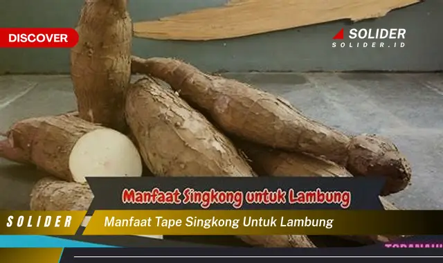 manfaat tape singkong untuk lambung