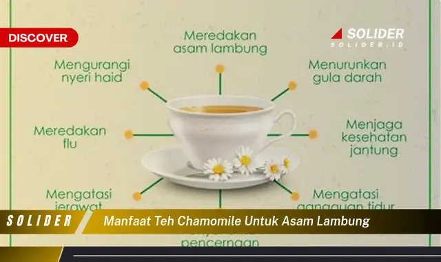 manfaat teh chamomile untuk asam lambung