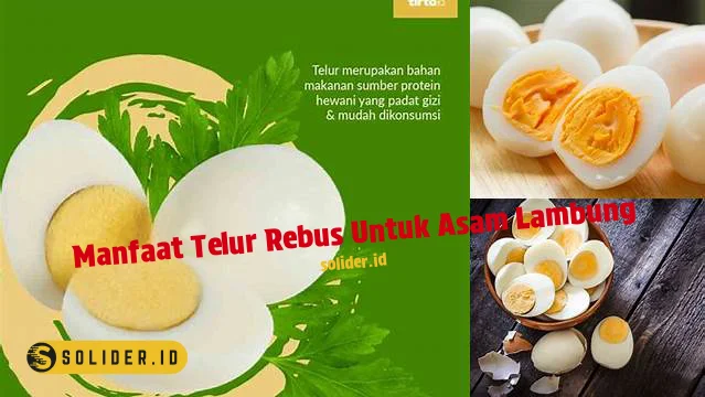 Temukan Manfaat Telur Rebus Untuk Asam Lambung Yang Jarang Diketahui