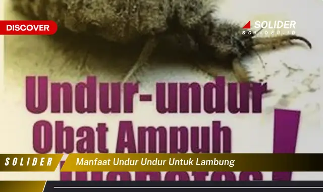 manfaat undur undur untuk lambung