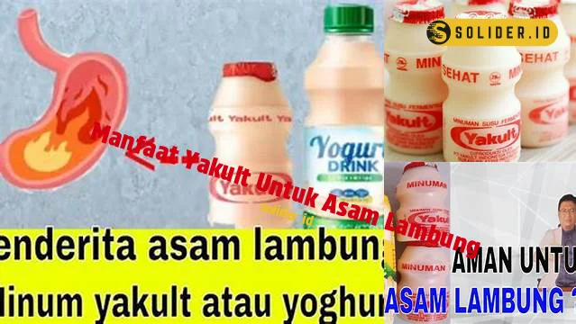 manfaat yakult untuk asam lambung