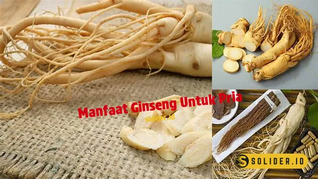 Temukan Khasiat Ginseng Untuk Pria Yang Jarang Diketahui Solider