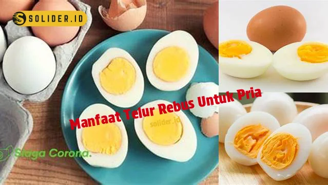 manfaat telur rebus untuk pria