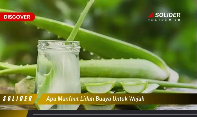 apa manfaat lidah buaya untuk wajah