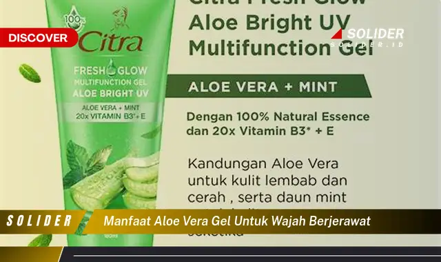 manfaat aloe vera gel untuk wajah berjerawat