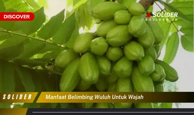 manfaat belimbing wuluh untuk wajah