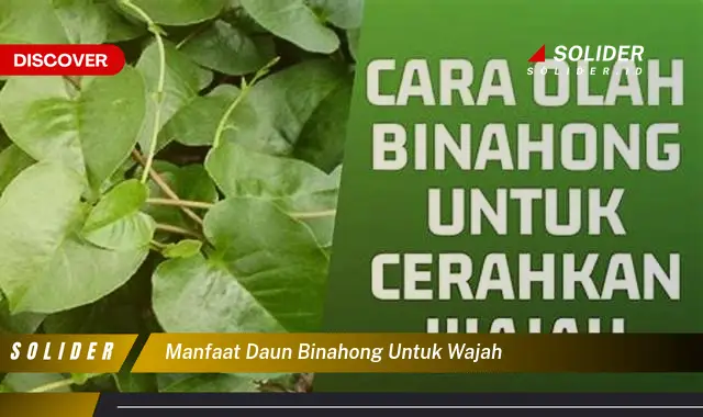 manfaat daun binahong untuk wajah