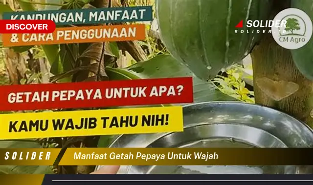 Temukan Berbagai Manfaat Getah Pepaya Untuk Wajah Yang Jarang Diketahui ...