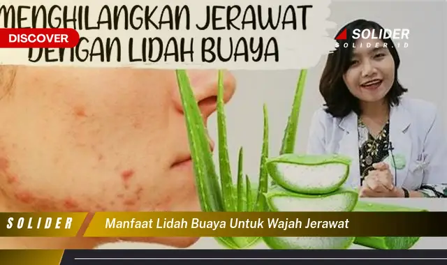 manfaat lidah buaya untuk wajah jerawat