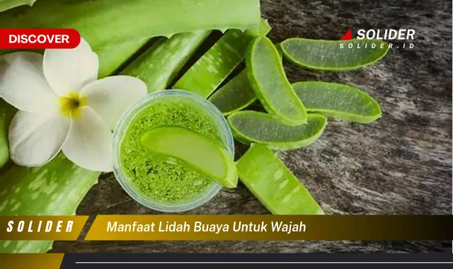 manfaat lidah buaya untuk wajah