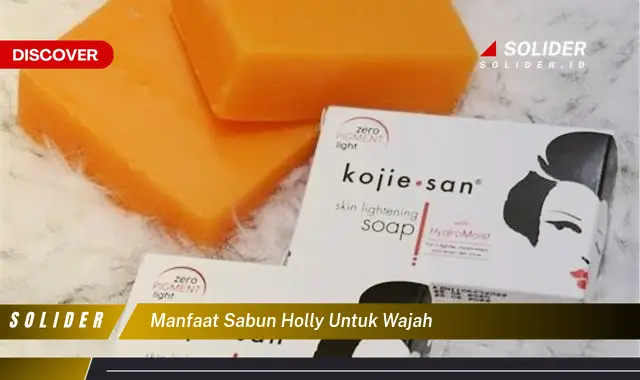 manfaat sabun holly untuk wajah