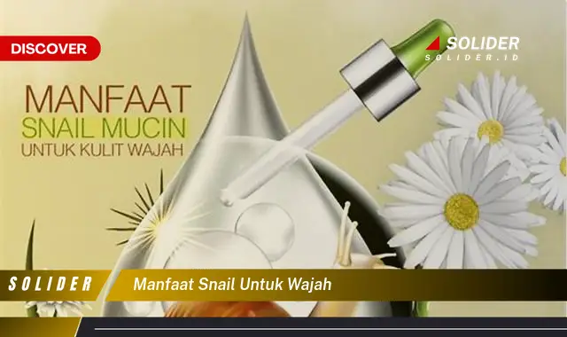 manfaat snail untuk wajah