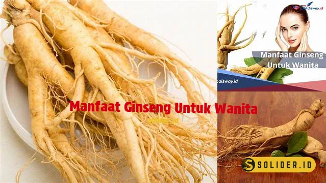 Temukan Khasiat Ginseng Untuk Wanita Yang Jarang Diketahui Solider