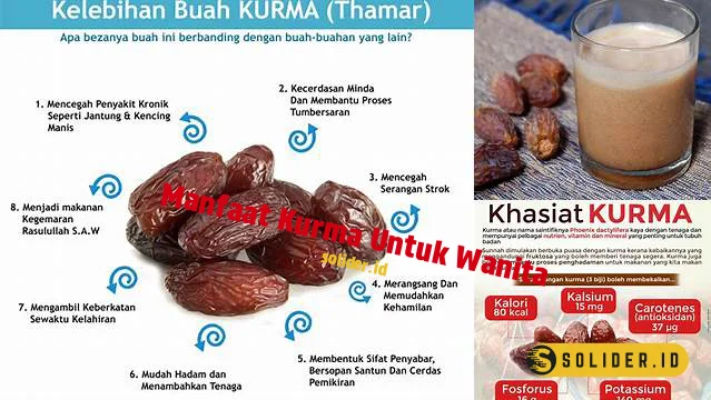 Temukan Manfaat Kurma Untuk Wanita Yang Jarang Diketahui Solider