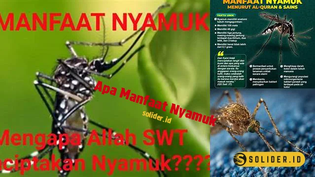 apa manfaat nyamuk