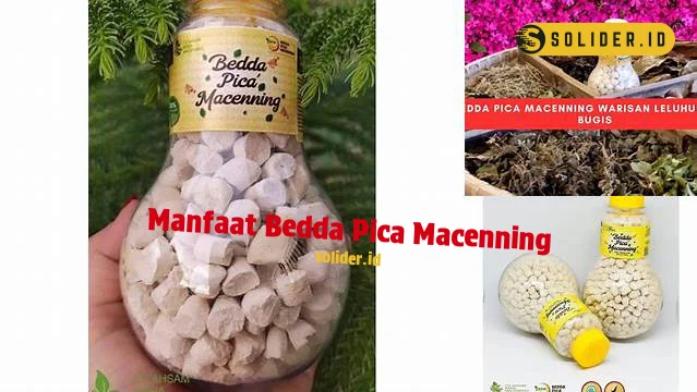 manfaat bedda pica macenning