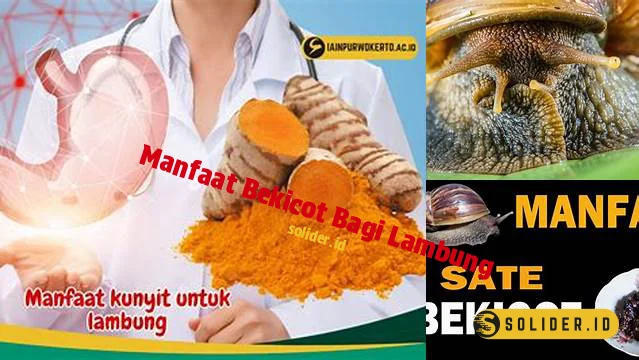 manfaat bekicot bagi lambung