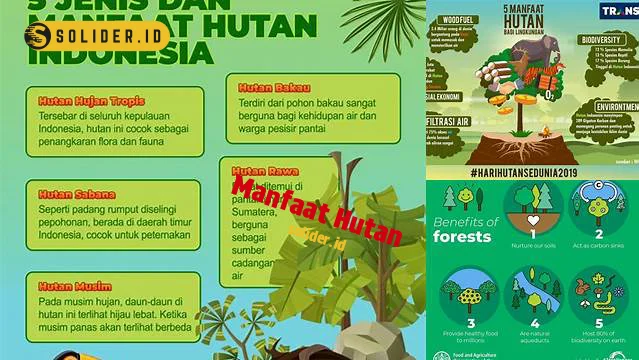 manfaat hutan