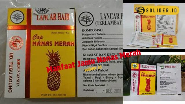 manfaat jamu nanas merah