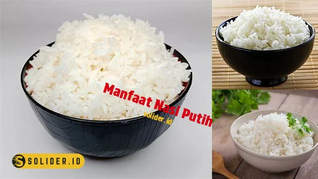 manfaat nasi putih