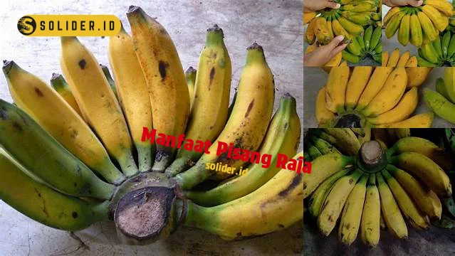 manfaat pisang raja