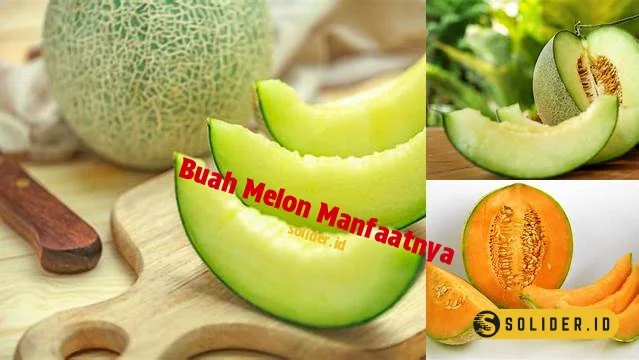 buah melon manfaatnya