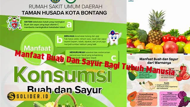 Temukan Manfaat Buah Dan Sayur Yang Jarang Diketahui Untuk Tubuh Manusia Solider 4886