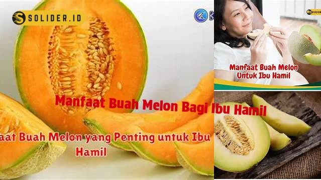 Temukan Manfaat Buah Melon Untuk Ibu Hamil Yang Jarang Diketahui Solider