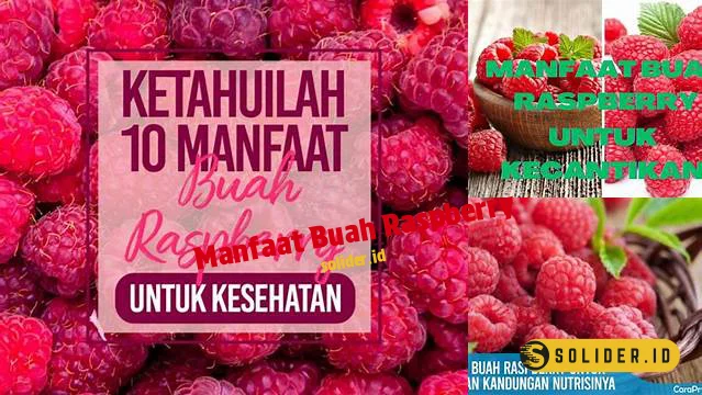 manfaat buah raspberry